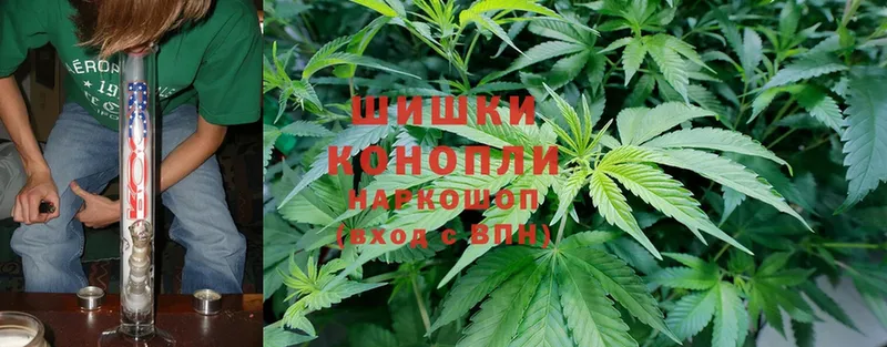 Шишки марихуана THC 21%  купить наркоту  Скопин 